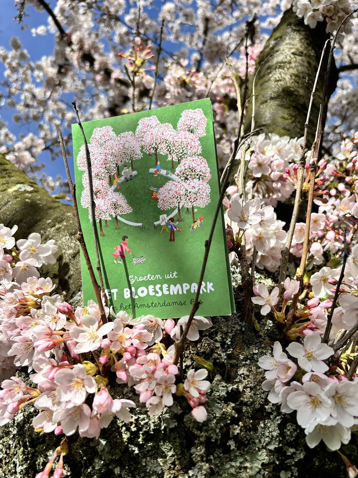 Amsterdamse Bos | Bloesempark